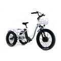 Venda triciclo elétrico adulto XY-Trio Deluxe